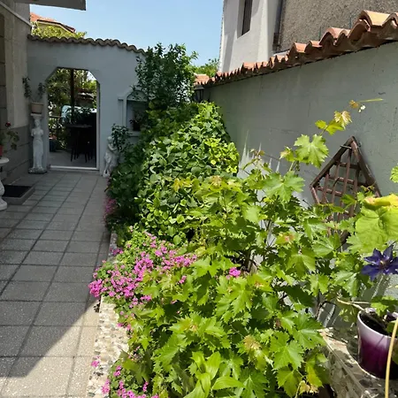Πανσιόν Casa Del Mare *