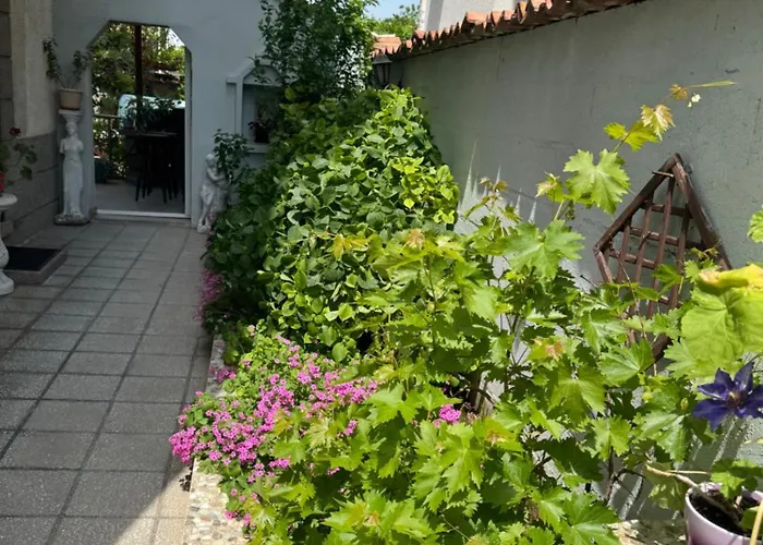 Guest house Casa Del Mare *